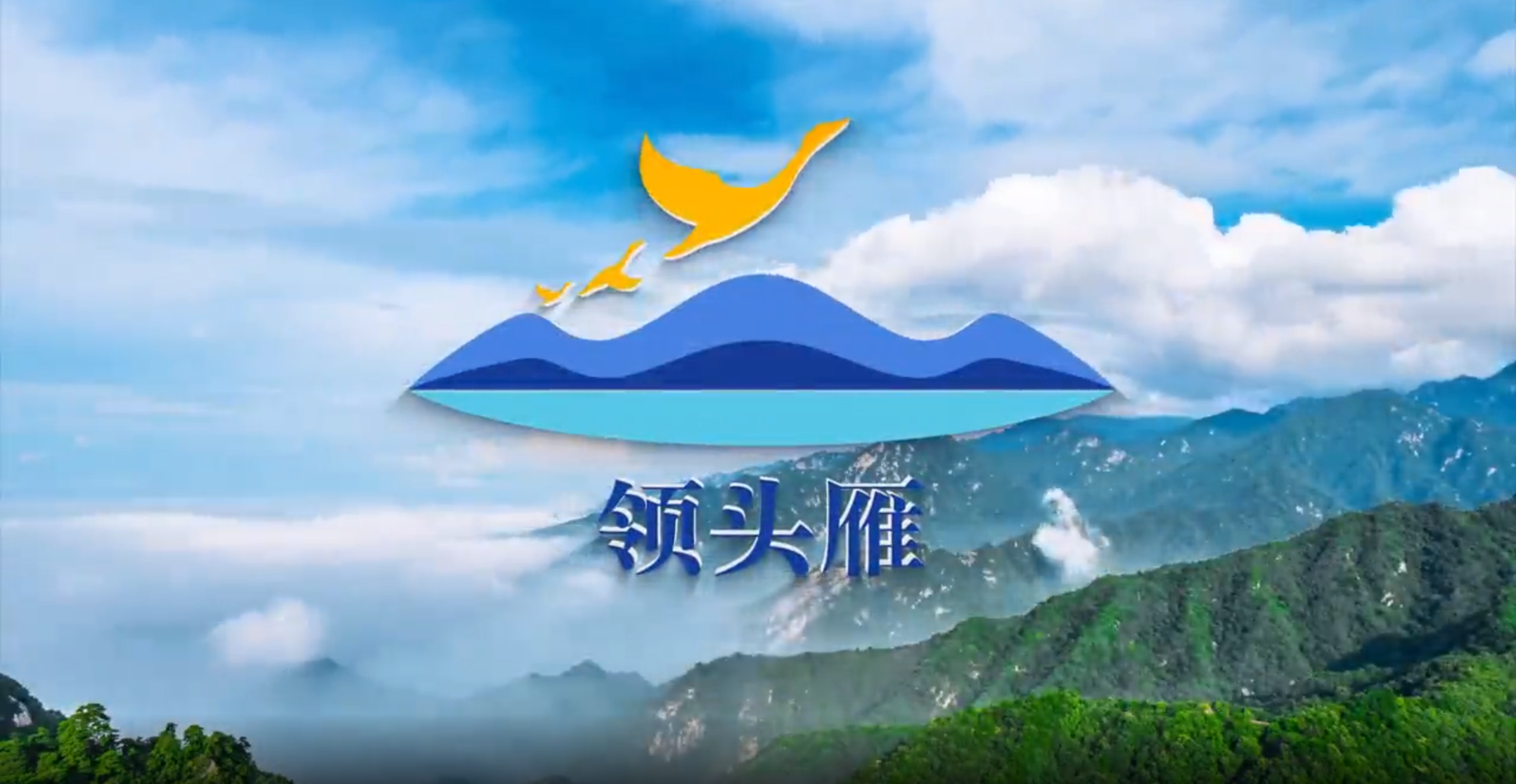 旅游行业 广告制作